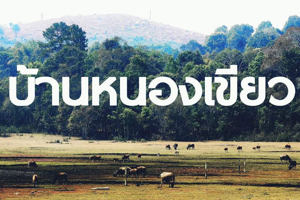 “แก้ที่ปากได้ที่ป่า”บ้านหนองเขียว