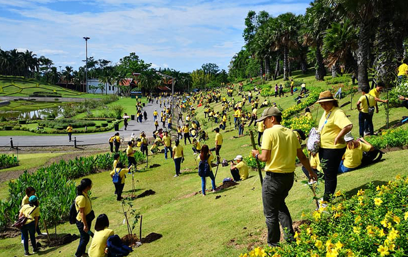 สวพส.รวมใจปลูกต้นรวงผึ้งเฉลิมพระเกียรติฯในโอกาสมหามงคลพระราชพิธีบรมราชาภิเษก