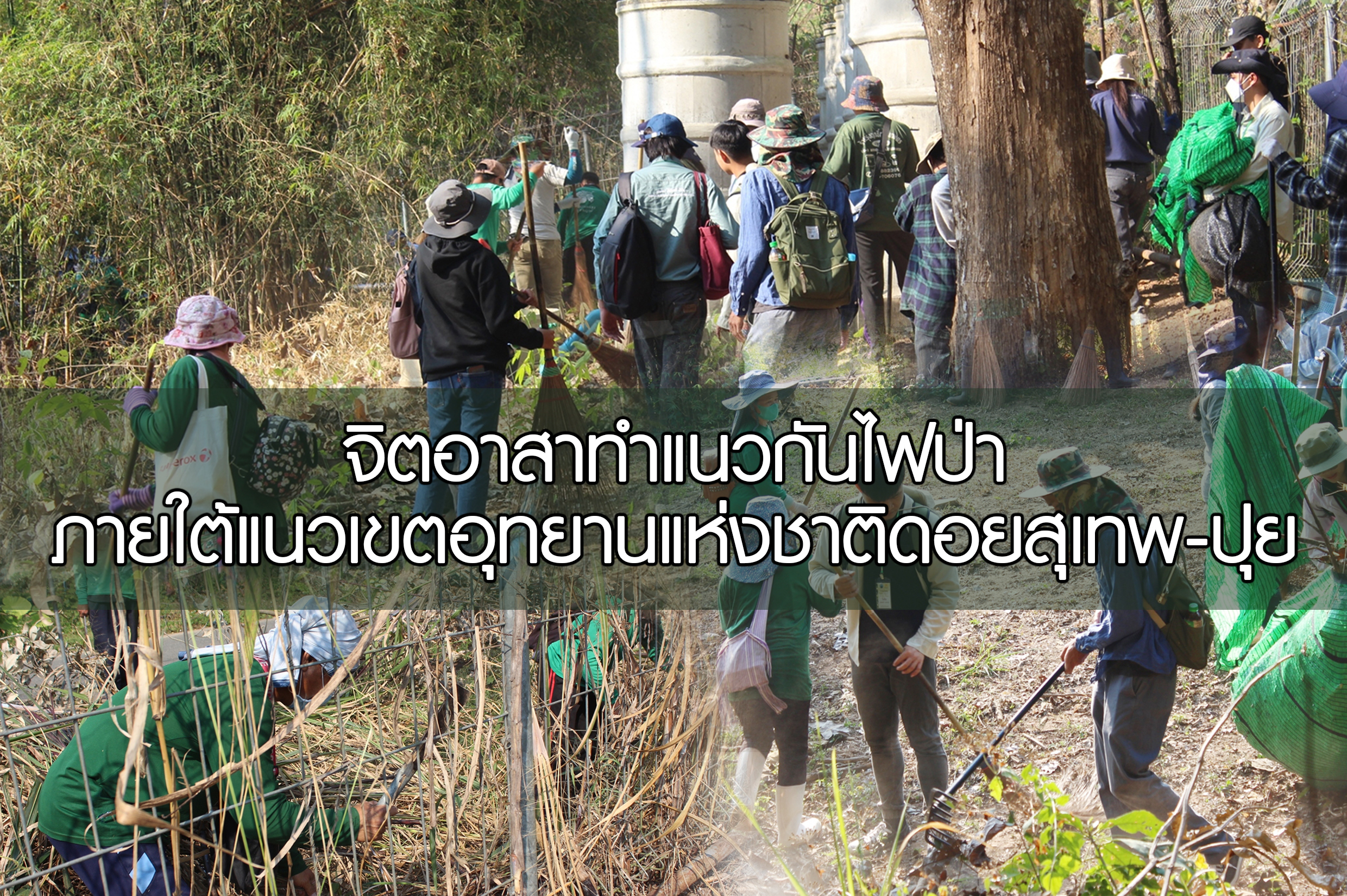 จิตอาสาทำแนวกันไฟป่าภายใต้แนวเขตอุทยานแห่งชาติดอยสุเทพ-ปุย