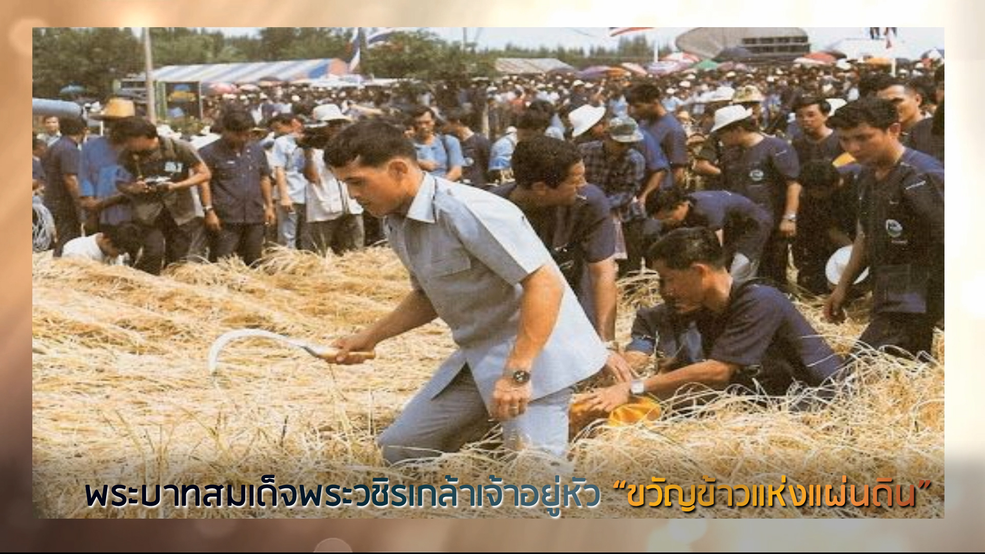 ปกสำหรับพระบาทสมเด็จพระวชิรเกล้าเจ้าอยู่หัวขวัญข้าวแห่งแผ่นดิน